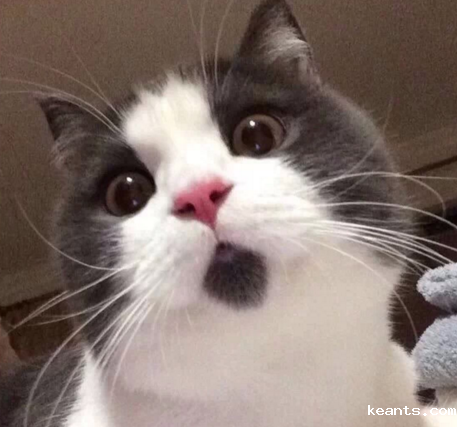 1525745553866787.png 微信图片_20180508101359.png