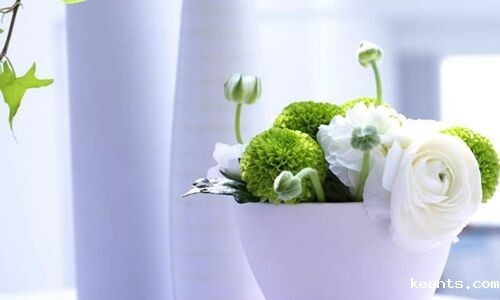 1527125835164821.jpg 5000.jpg