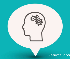 1528860397941528.png 建议.png