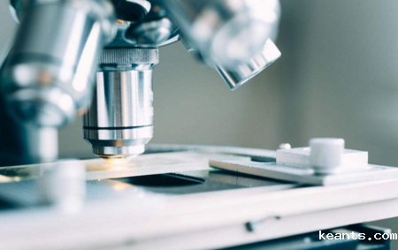 1534385229441809.png 探索.png