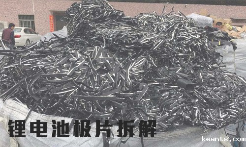 1543462054949049.jpg 电池极片.jpg