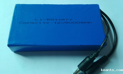 1546486422299324.jpg 锂电池充电器.jpg