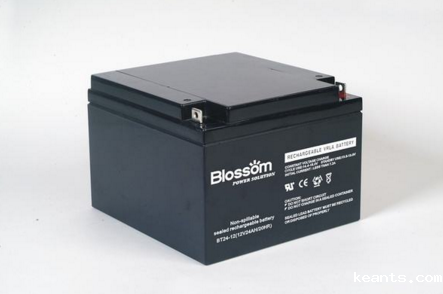 1553673236103274.png 蓄电池.png