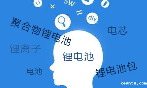 <b>锂电池包和聚合物锂电池有什么区别?</b>