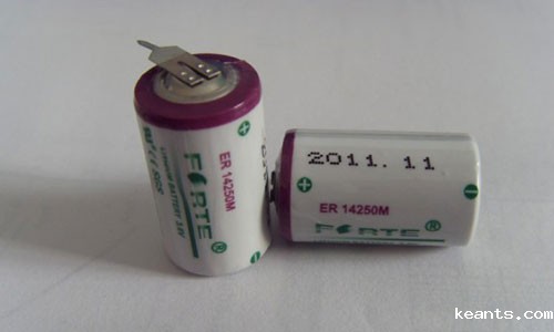 <b>什么是锂亚电池?锂亚容量型电池的特点</b>