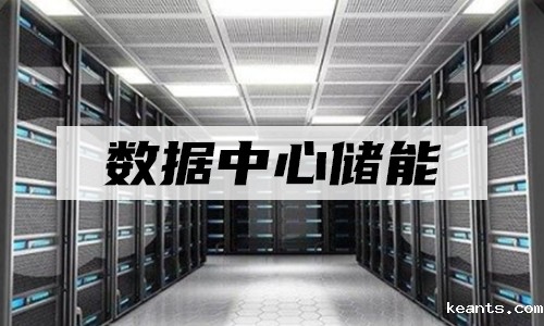 <b>UPS锂电储能真的走入数据中心了么?</b>